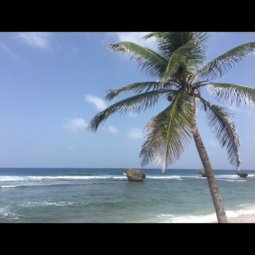 Meet your Posher, Iisabella